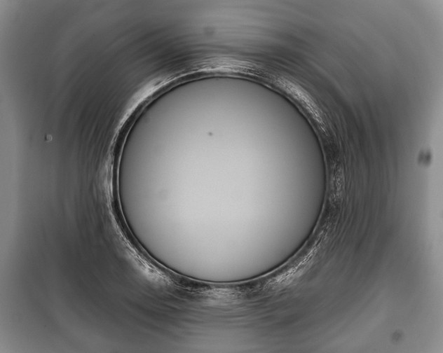 X0000100771130200806261537