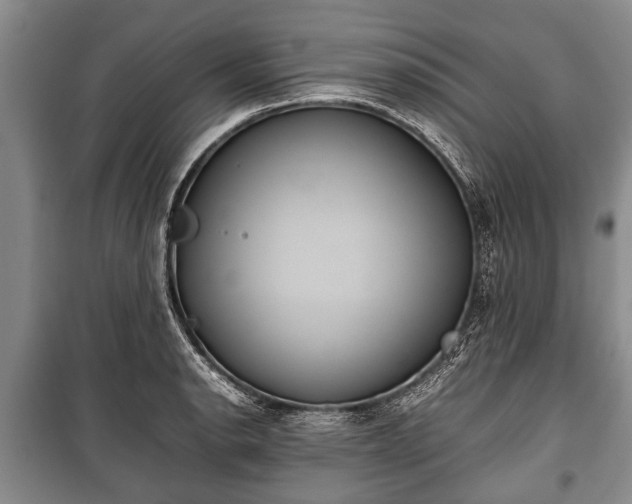 X0000100771134200806261537