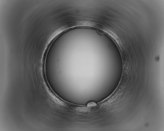 X0000100771135200806261537