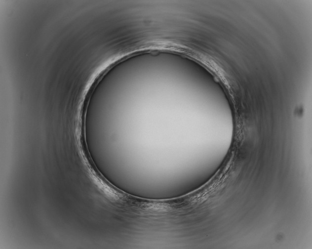 X0000100771136200806261537