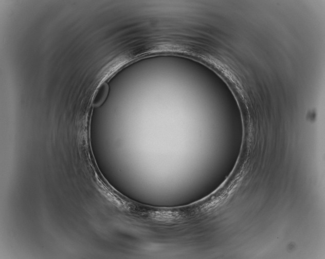 X0000100771137200806261537