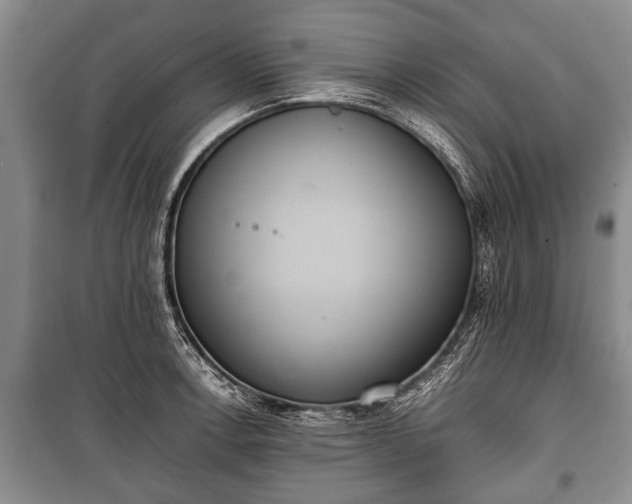 X0000100771138200806261537