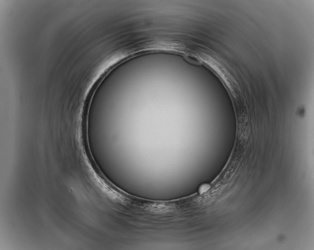 X0000100771139200806261537