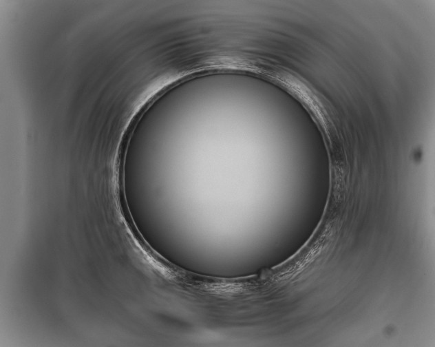 X0000100771141200806261537