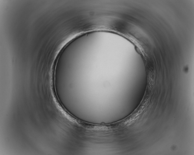 X0000100771142200806261537