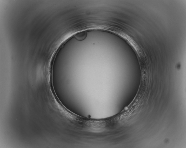 X0000100771143200806261537
