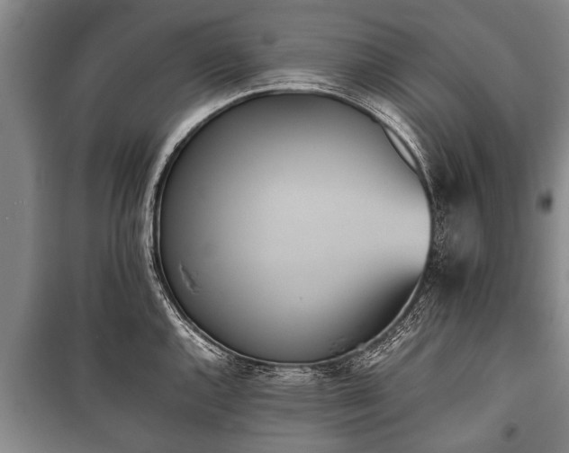 X0000100771144200806261537
