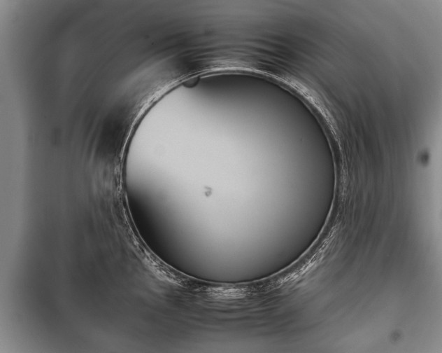 X0000100771145200806261537