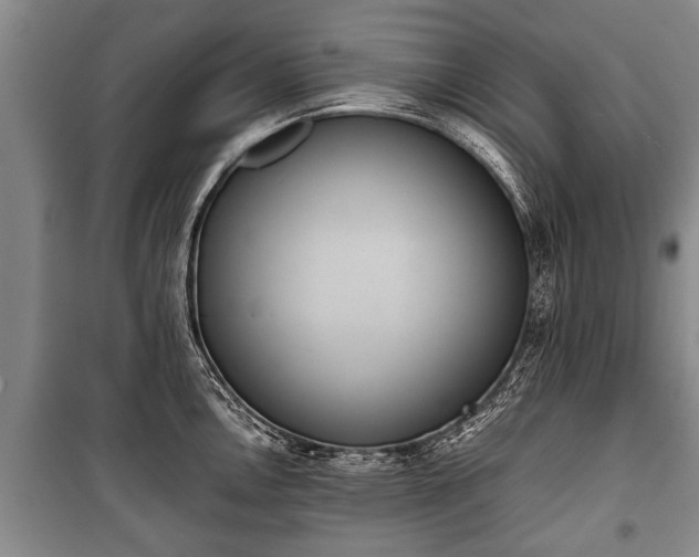 X0000100771146200806261537