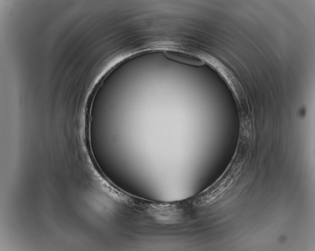 X0000100771147200806261537