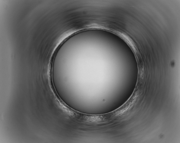 X0000100771149200806261537