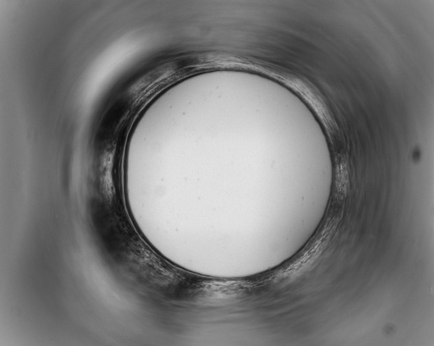 X0000100771150200806261537