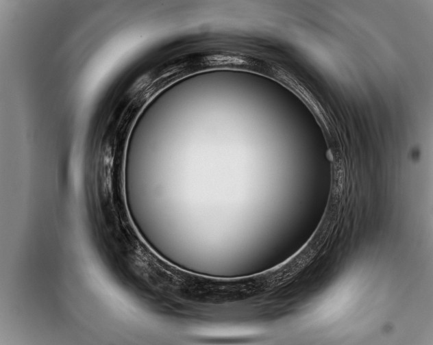 X0000100771151200806261537