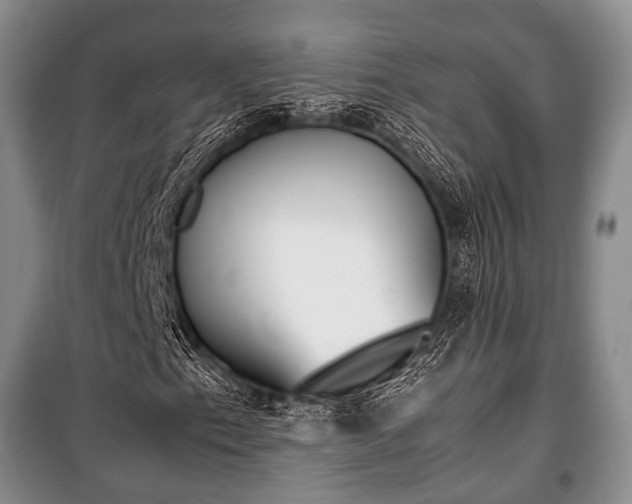 X0000100771153200806261537
