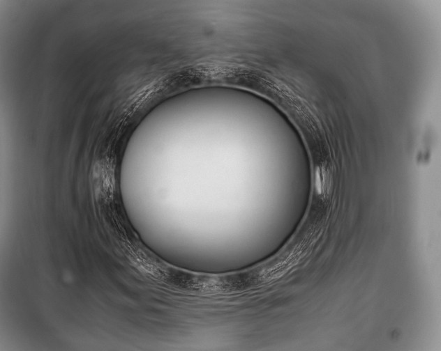 X0000100771155200806261537