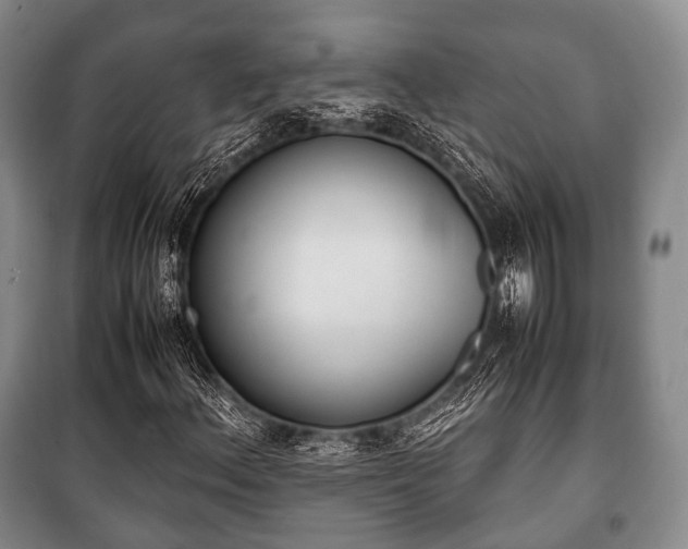 X0000100771156200806261537
