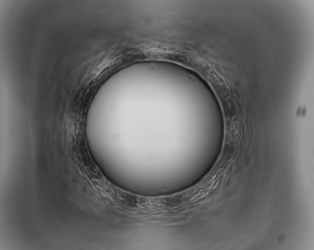 X0000100771157200806261537