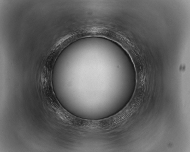 X0000100771158200806261536