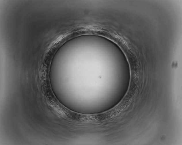X0000100771159200806261536