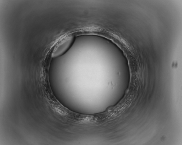 X0000100771160200806261536
