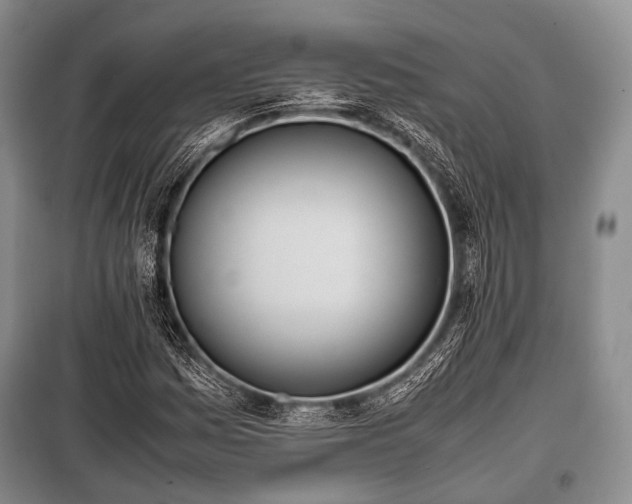 X0000100771161200806261536