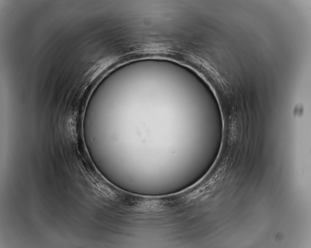 X0000100771162200806261536