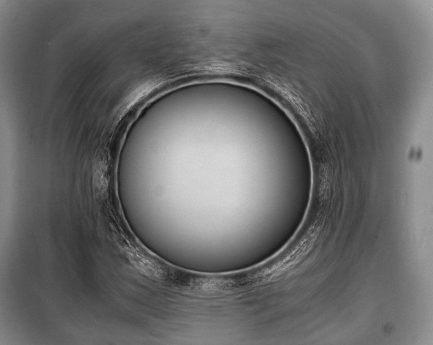 X0000100771163200806261536
