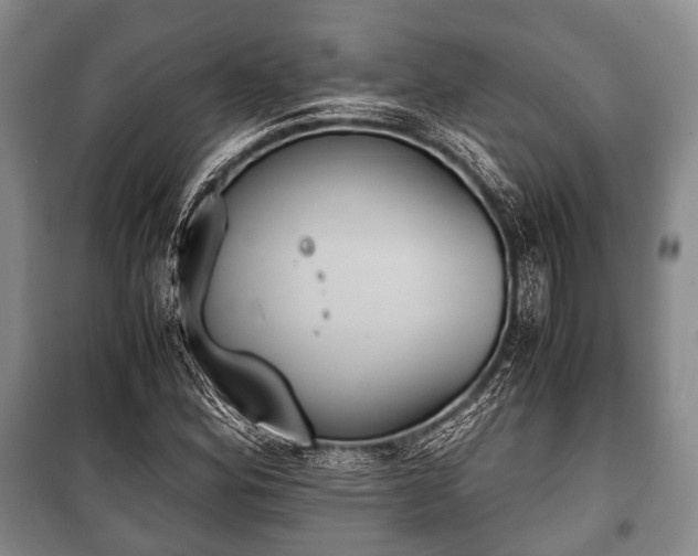 X0000100771164200806261536
