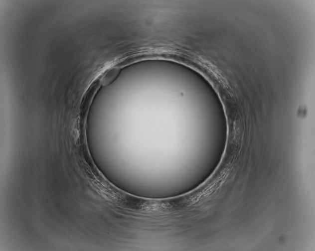 X0000100771165200806261536