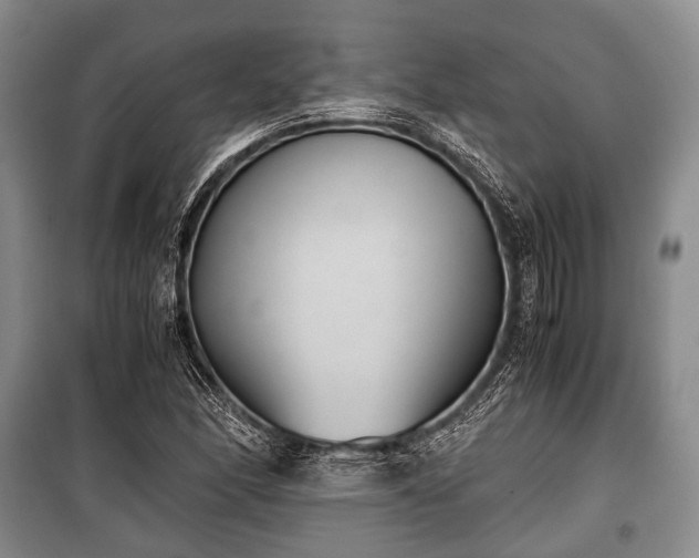 X0000100771166200806261536