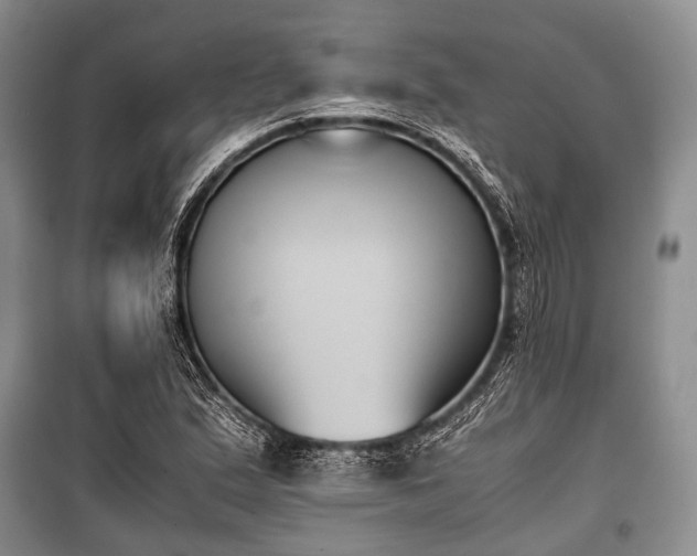 X0000100771167200806261536