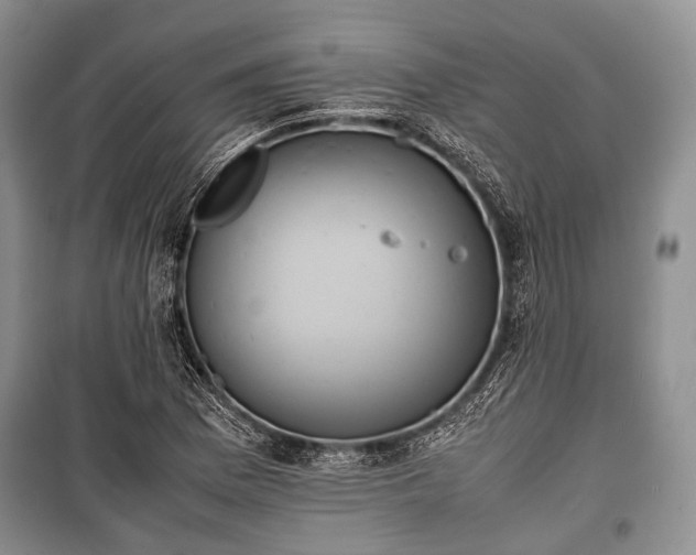 X0000100771169200806261536