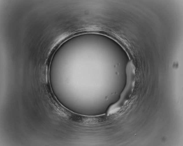 X0000100771171200806261536