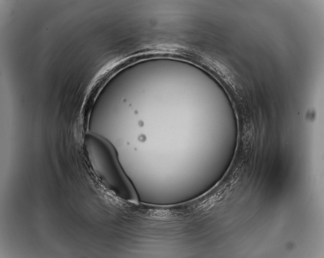 X0000100771172200806261536