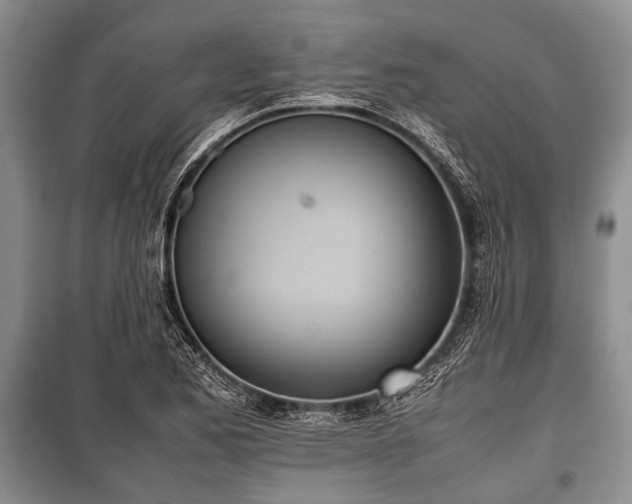 X0000100771173200806261536