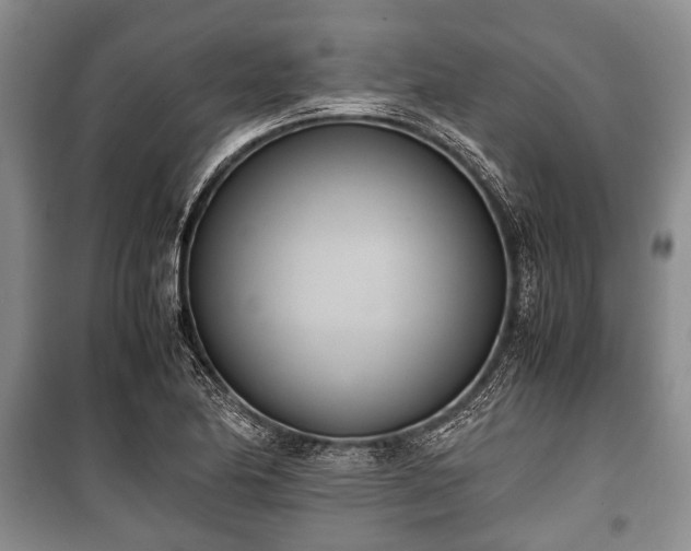 X0000100771174200806261536