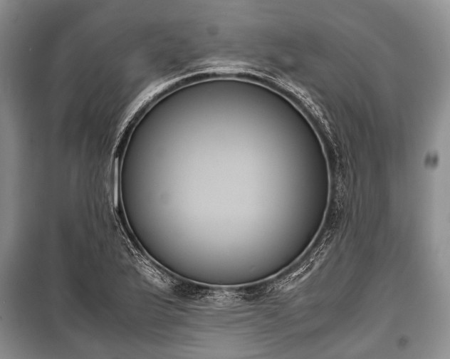 X0000100771175200806261536