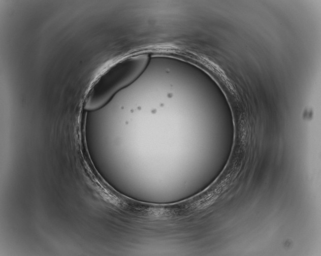 X0000100771176200806261536