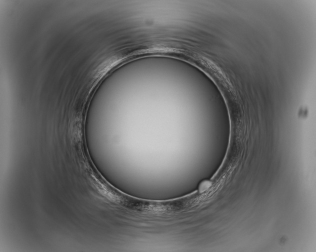 X0000100771177200806261536