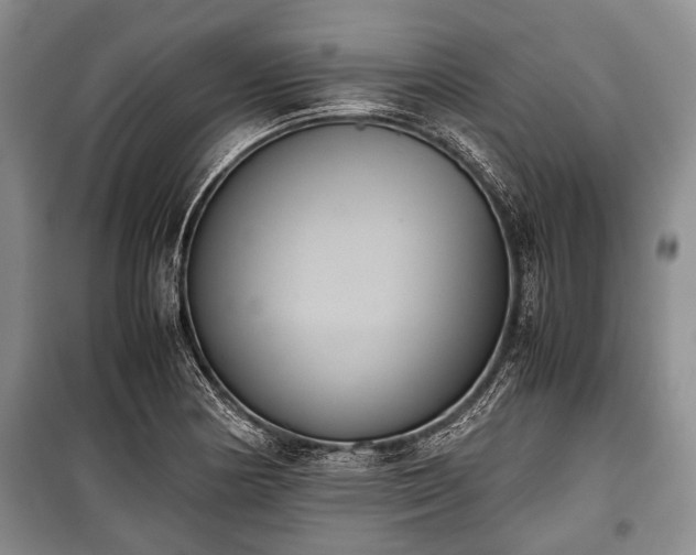 X0000100771178200806261536