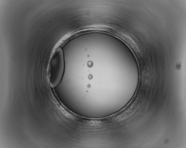 X0000100771180200806261536