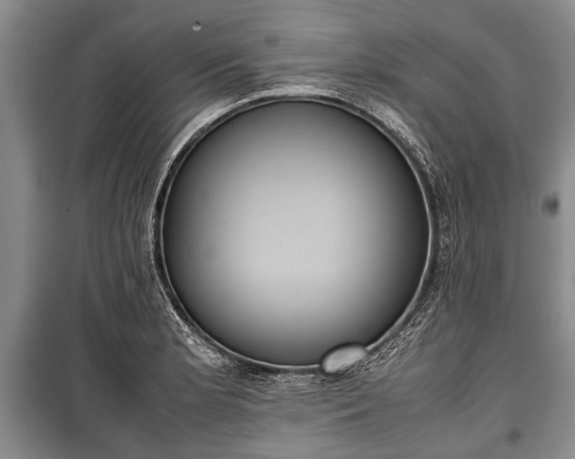 X0000100771181200806261536