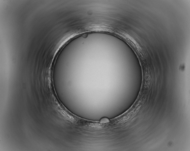 X0000100771182200806261536