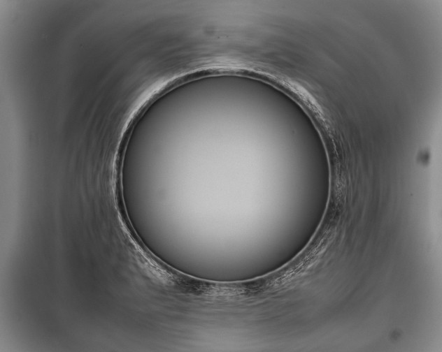 X0000100771183200806261536
