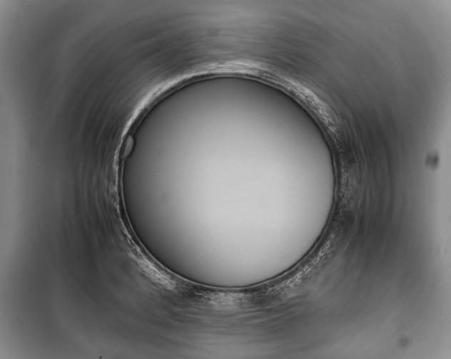X0000100771184200806261536