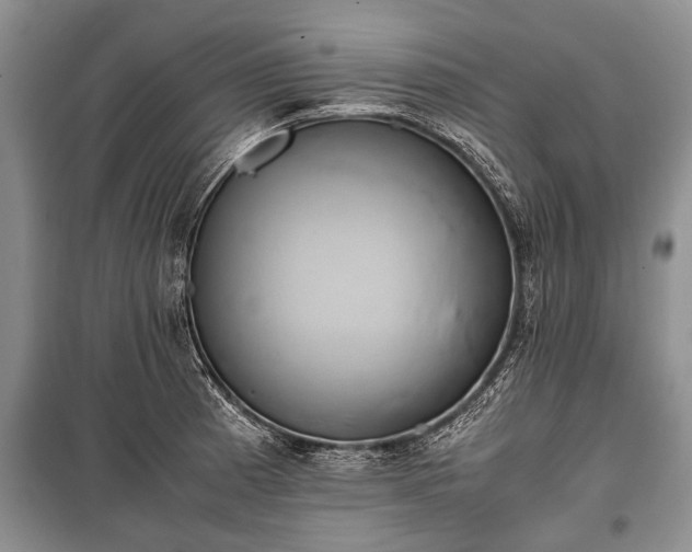 X0000100771185200806261536