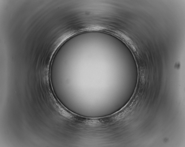 X0000100771186200806261536