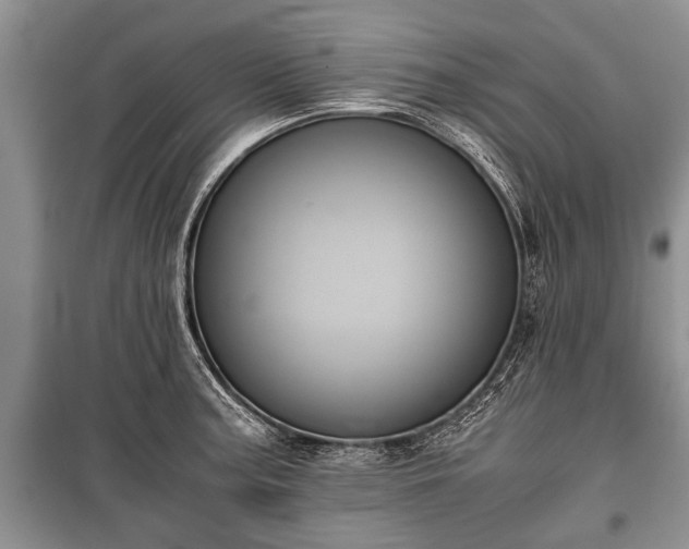 X0000100771187200806261536