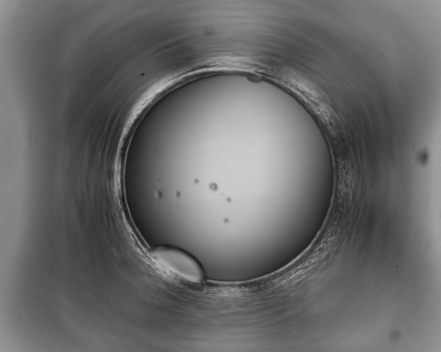 X0000100771188200806261536