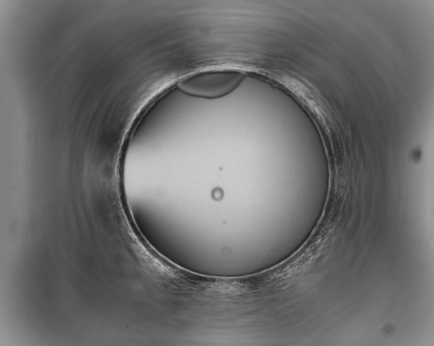 X0000100771189200806261536